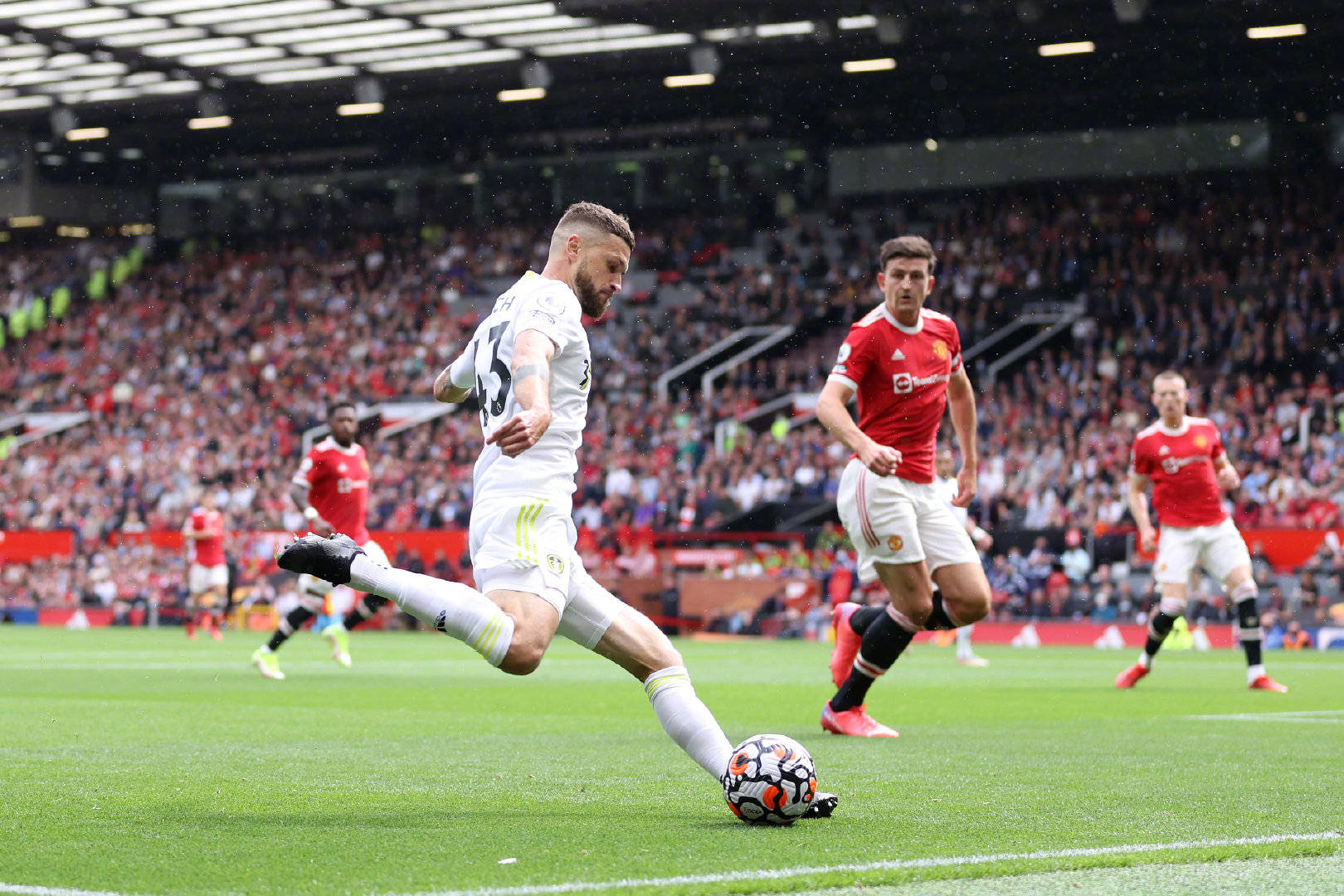 色球员的贡 色球员的贡